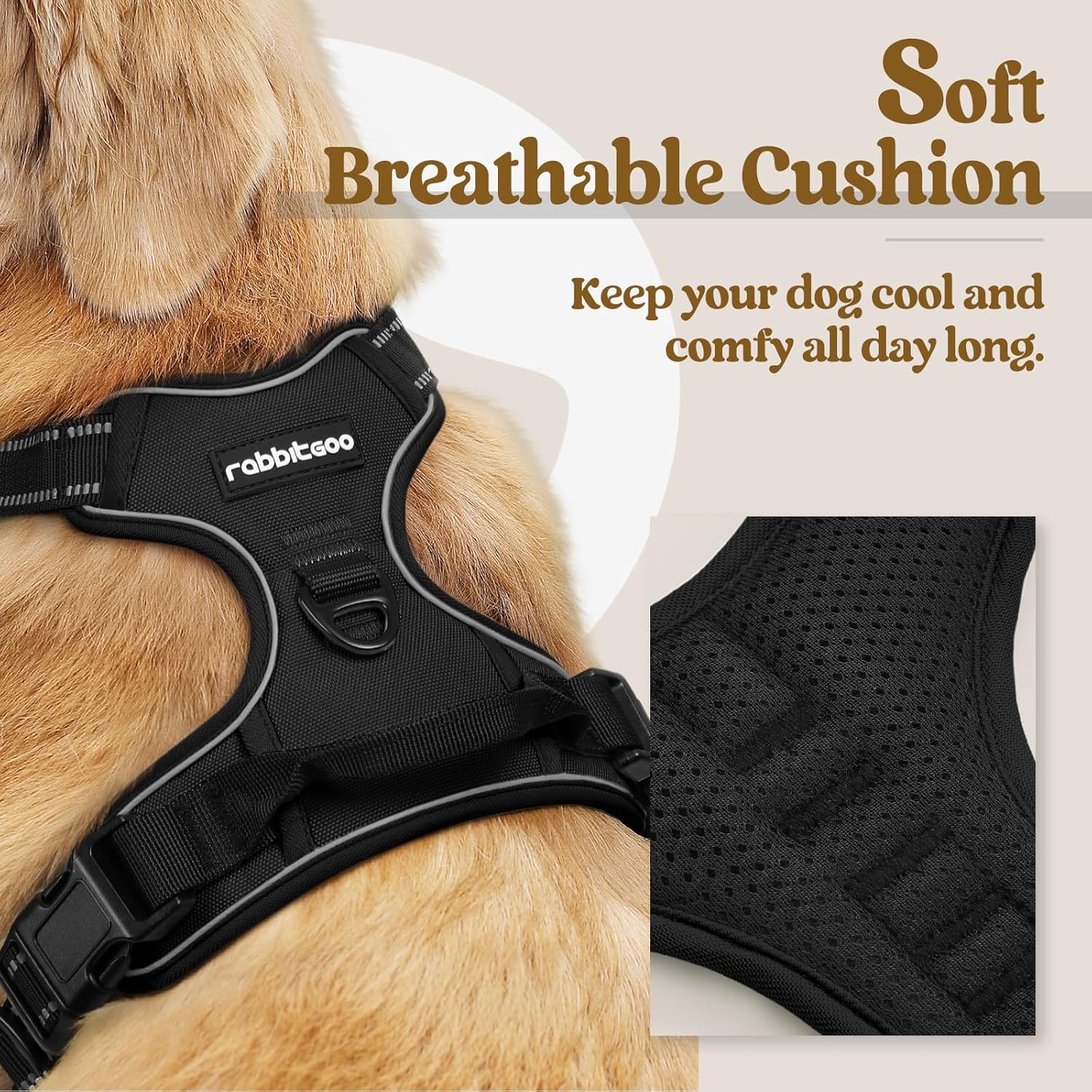 No-Pull Harnesses That Actually Fit Deep-Chested and Short-Backed Dogs