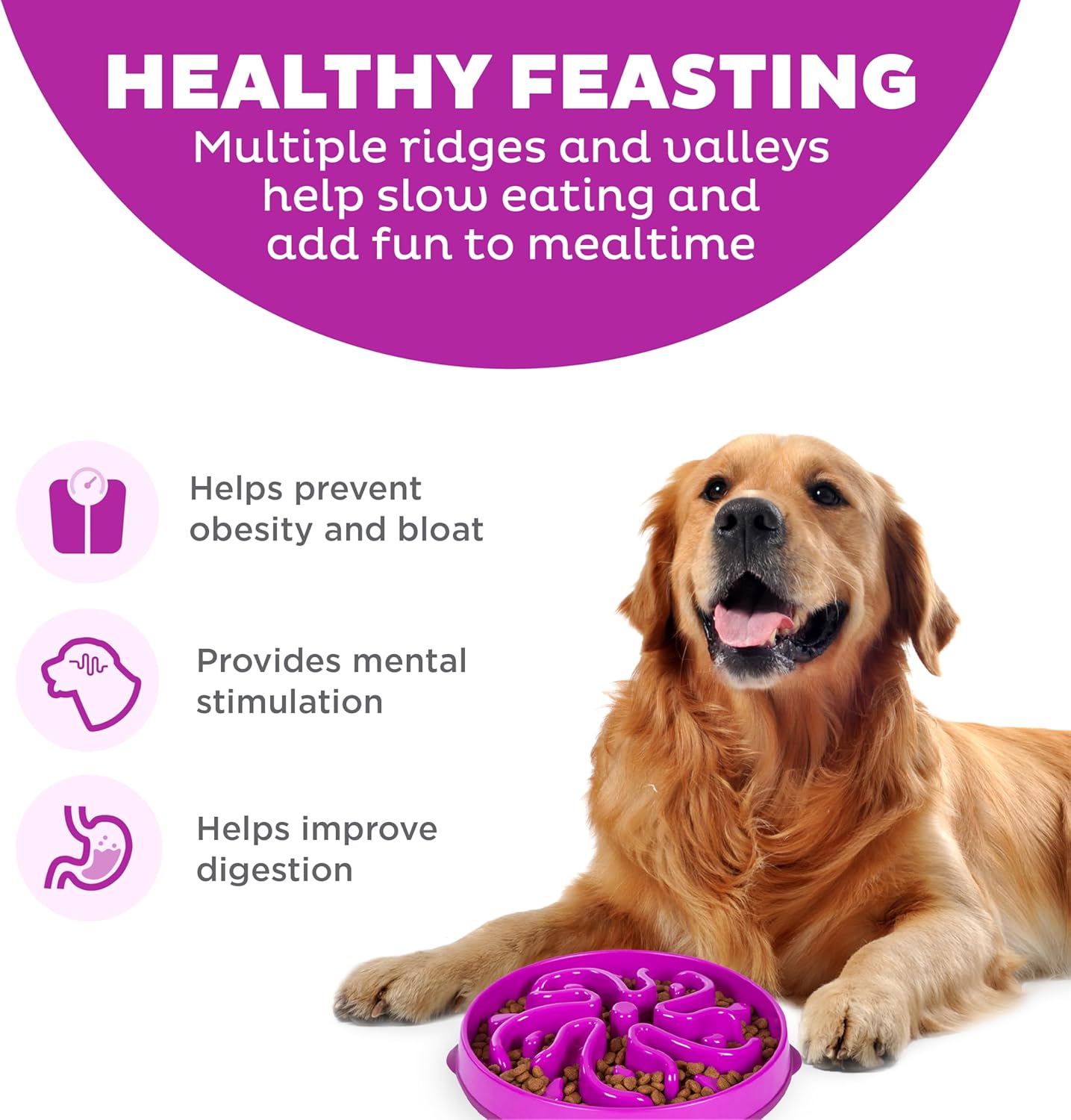 Slow Feeder Bowls vs. Puzzle Feeders: Matching the Tool to Your Dog's Gulping Problem