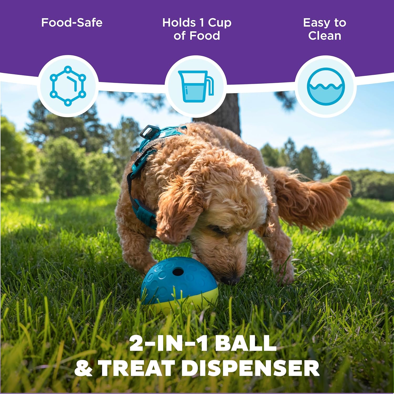 Building Your Dog's Enrichment Puzzle Ladder From Level 1 to Expert